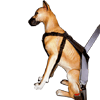 Kwik Klip Car Safety Harness