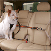 Kurgo Auto Zip Line With Harness
