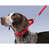 Premier Collar With Quick Snap Buckle Martingale Design