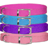 Rainboe Nylon Collar