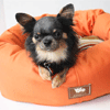 West Paw Bumper Bed X-Small