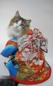 Luke's All Natural Pet Food Dog and Cat Photo Gallery