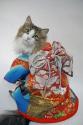 Luke's All Natural Pet Food Dog and Cat Photo Gallery