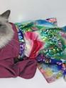 Luke's All Natural Pet Food Dog and Cat Photo Gallery