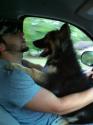 Luke's All Natural Pet Food Dog and Cat Photo Gallery