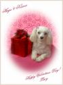 Luke's All Natural Pet Food Dog and Cat Photo Gallery