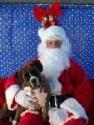 Luke's All Natural Pet Food Dog and Cat Photo Gallery