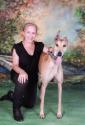 Luke's All Natural Pet Food Dog and Cat Photo Gallery