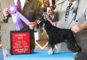 Luke's All Natural Pet Food Dog and Cat Photo Gallery