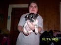 Luke's All Natural Pet Food Dog and Cat Photo Gallery