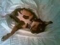 Luke's All Natural Pet Food Dog and Cat Photo Gallery