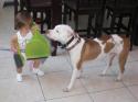 Luke's All Natural Pet Food Dog and Cat Photo Gallery