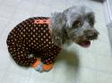 Luke's All Natural Pet Food Dog and Cat Photo Gallery