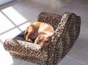 Luke's All Natural Pet Food Dog and Cat Photo Gallery