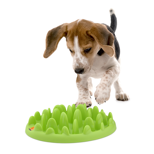 northmate interactive feeder
