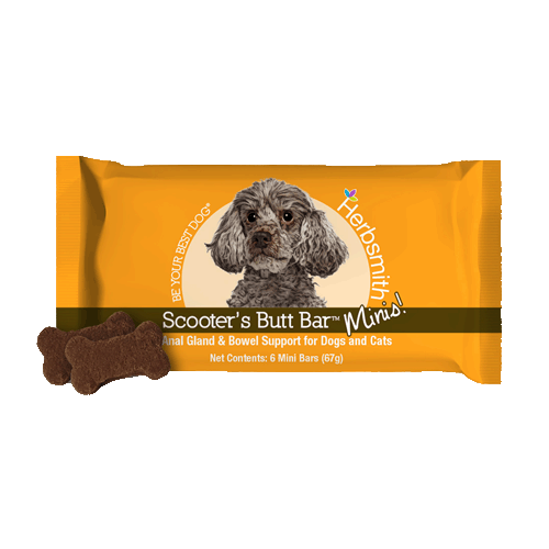 Natural Food For Dogs With Bowel Issues Natural Food For Dogs With Bowel Issues