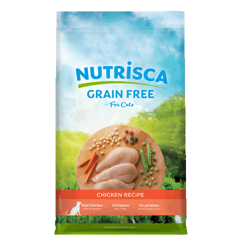 Best Natural Cat Food For Urinary Tract Health Best Natural Cat Food For Urinary Tract Health