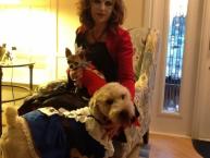 Luke's All Natural Pet Food Dog and Cat Photo Gallery