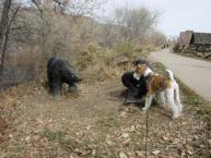 Luke's All Natural Pet Food Dog and Cat Photo Gallery