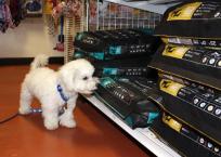 Luke's All Natural Pet Food Dog and Cat Photo Gallery