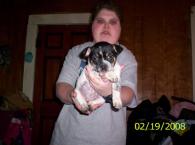 Luke's All Natural Pet Food Dog and Cat Photo Gallery