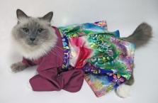 Luke's All Natural Pet Food Dog and Cat Photo Gallery