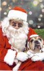 Luke's All Natural Pet Food Dog and Cat Photo Gallery