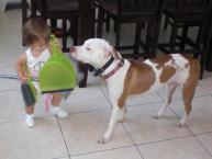 Luke's All Natural Pet Food Dog and Cat Photo Gallery