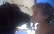 Luke's All Natural Pet Food Dog and Cat Photo Gallery