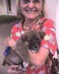 Luke's All Natural Pet Food Dog and Cat Photo Gallery