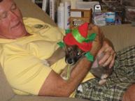 Luke's All Natural Pet Food Dog and Cat Photo Gallery