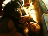 Luke's All Natural Pet Food Dog and Cat Photo Gallery