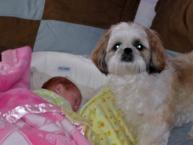 Luke's All Natural Pet Food Dog and Cat Photo Gallery