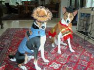 Luke's All Natural Pet Food Dog and Cat Photo Gallery