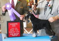 Luke's All Natural Pet Food Dog and Cat Photo Gallery