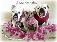 Luke's All Natural Pet Food Dog and Cat Photo Gallery