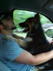 Luke's All Natural Pet Food Dog and Cat Photo Gallery