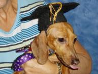 Luke's All Natural Pet Food Dog and Cat Photo Gallery