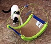 Luke's All Natural Pet Food Dog and Cat Photo Gallery
