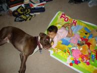 Luke's All Natural Pet Food Dog and Cat Photo Gallery