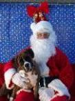 Luke's All Natural Pet Food Dog and Cat Photo Gallery